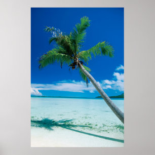 Poster Plages tropicales   Plage du motu Tofari, Bora Bor