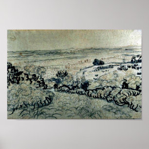 Poster Plain of La Crau Van Gogh Fine Art