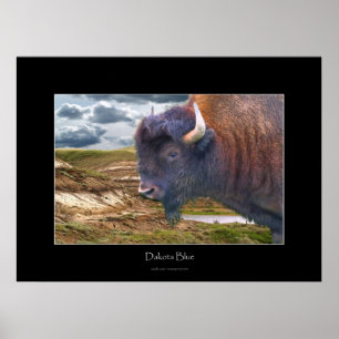 Poster Plaines sauvages L'art faunique Buffalo