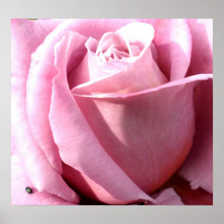 Poster Plaisir violet