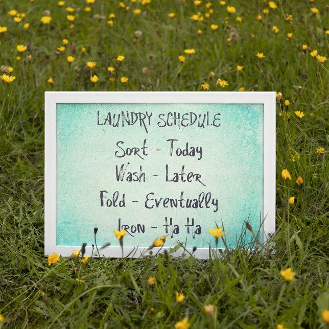 Poster Plan de blanchisserie Imprimer (Funny laundry schedule poster print wall art)