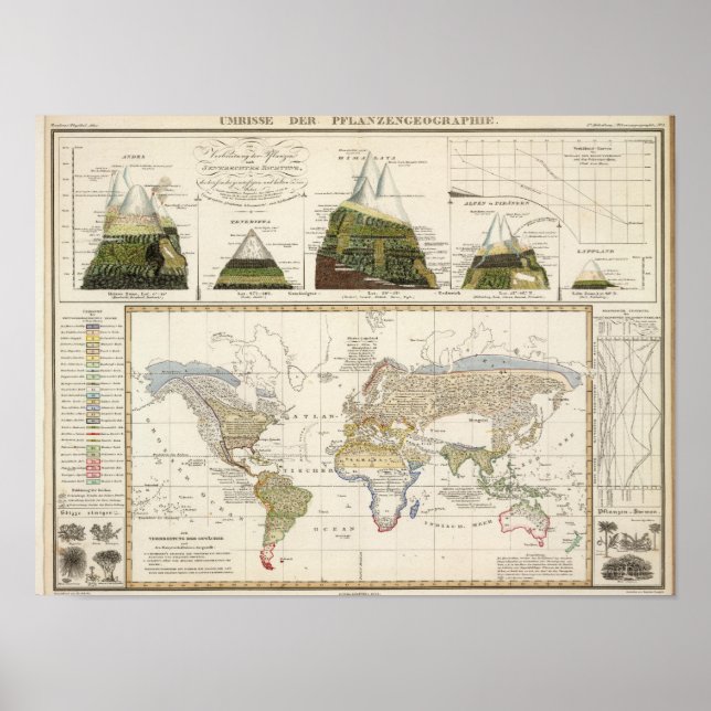 Poster Plan de la géographie plante (Devant)