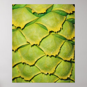 Poster Plan rapproché de texture et de motif d'arbre