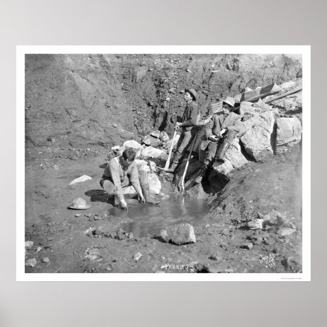 Poster Planification pour Gold Alaska 1902 (Devant)