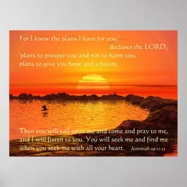 Poster Plans (Devant)