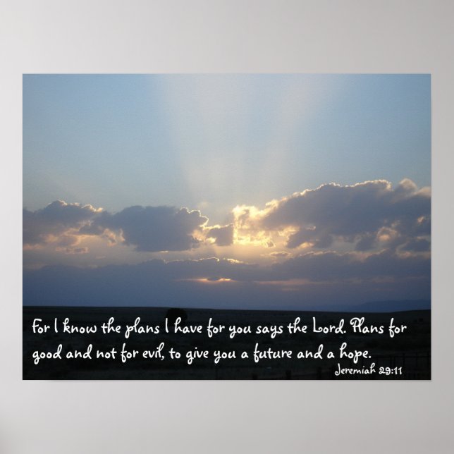 Poster Plans (Devant)