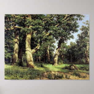 Poster Plantation de chêne d'Ivan Shishkin-