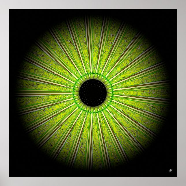 Poster Plante (Devant)