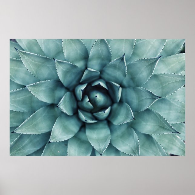 Poster Plante à feuilles vertes (Devant)