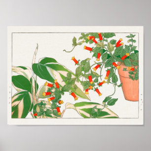 Poster Plante de prière, pétard de Tanigami Konan