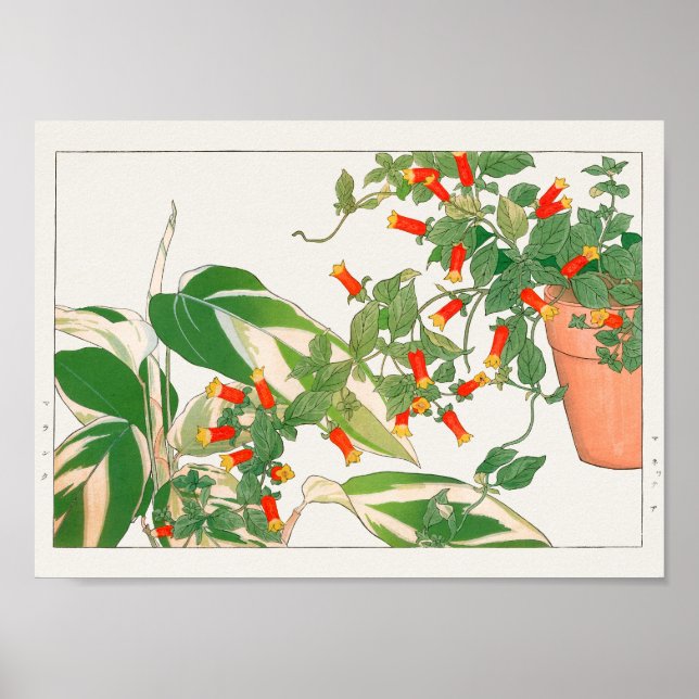 Poster Plante de prière, pétard de Tanigami Konan (Devant)