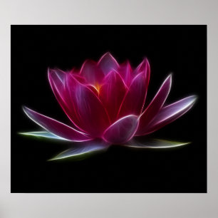 Poster Plante d'eau à fleurs Lotus