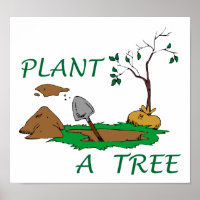 Plante d'un arbre