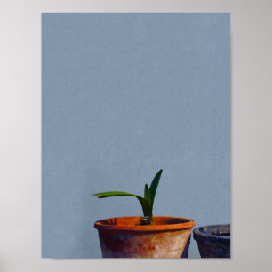 Poster Plante en Pot