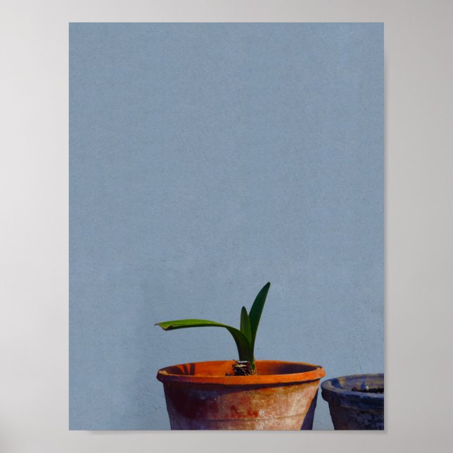 Poster Plante en Pot (Devant)