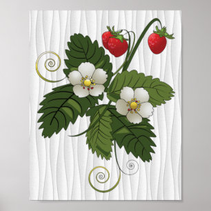 Poster Plante fraise