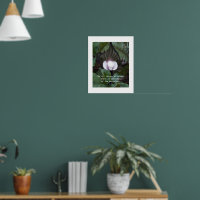 Plante Jack-in-the-Pulpit Citation d'Aristote sur
