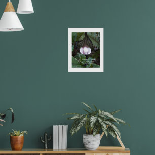 Poster Plante Jack-in-the-Pulpit Citation d'Aristote sur 