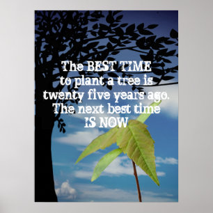 Poster Plante Motivationnel Une Devis D'Arbre