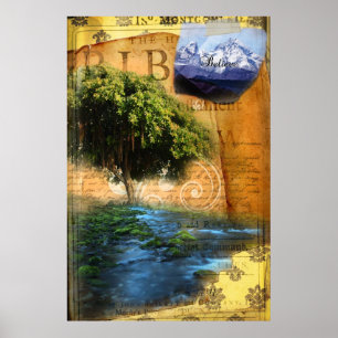 Poster Planté par l'eau