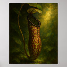 Plante Pitcher: Élégance Toxique Art Impressionnis