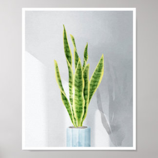 Poster Plante serpent, langue maternelle, Sansevieria