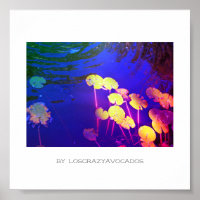Poster Plante Stylisé Rose Eau Lily Fleurs