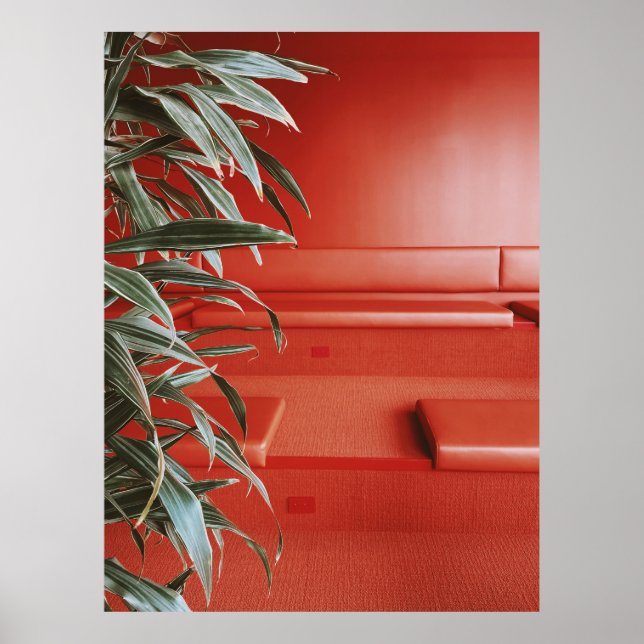 Poster Plante vert sur canapé rouge (Devant)