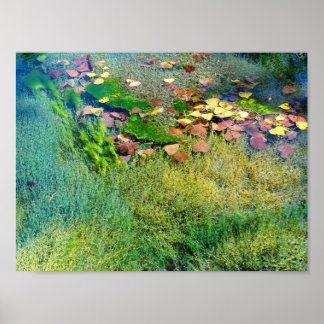 Poster Plantes aquatiques à Lincoln Park VI - Saturate co