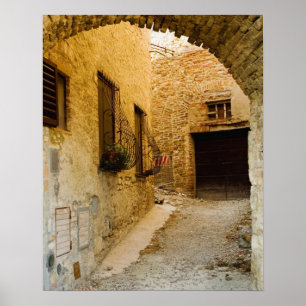 Poster Plantes dans les jardinières, San Gimignano, Sienn