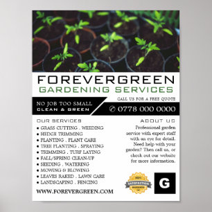 Poster Plantes de tomates, Service de jardinage, Horticul