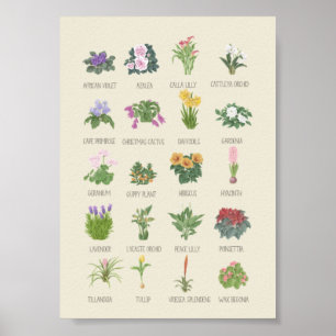 Poster Plantes intérieurs + Noms Gardener Plante Amateur