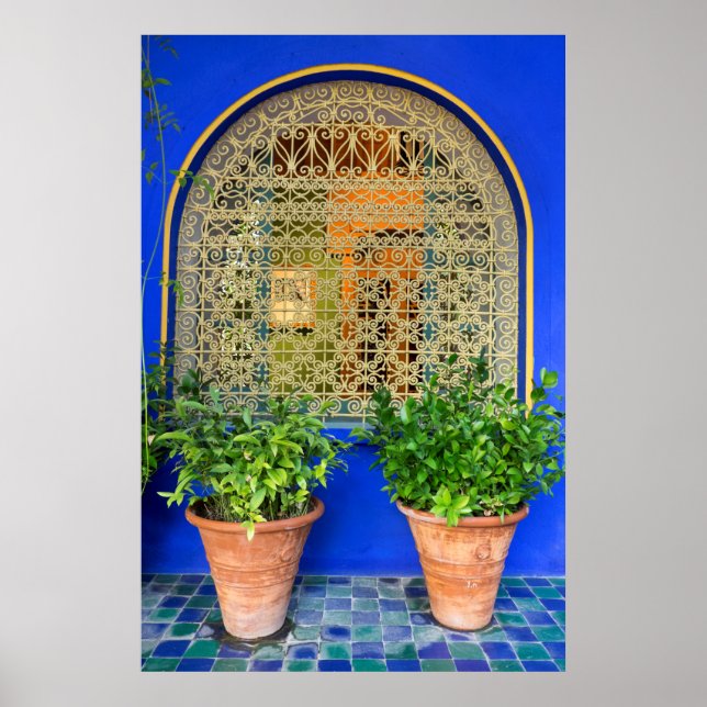 Poster Plantes Pointés Au Jardin (Devant)