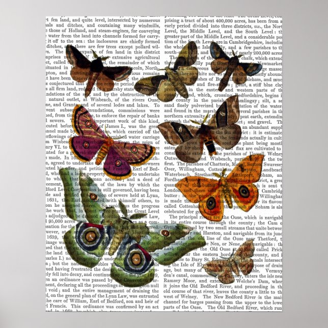 Poster Plaque 2 (Devant)