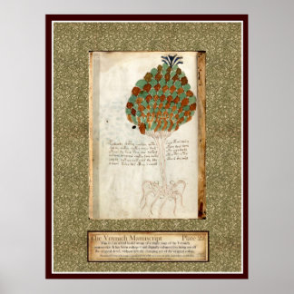 Poster Plaque Voynich 22