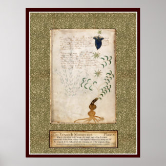 Poster Plaque Voynich 8