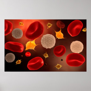 Poster Platelets Avec Cellules De Sang Rouge 2