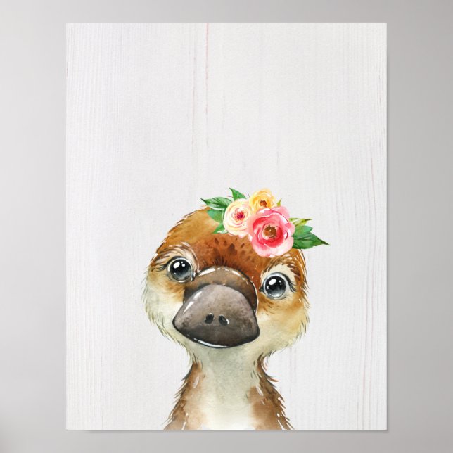 Poster Platypus Bébé Fleuris Aquarelle Animaux Australien (Devant)