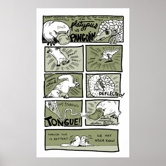 Poster Platypus contre Pangolin (Devant)