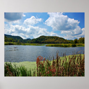 Poster Pleasant Creek