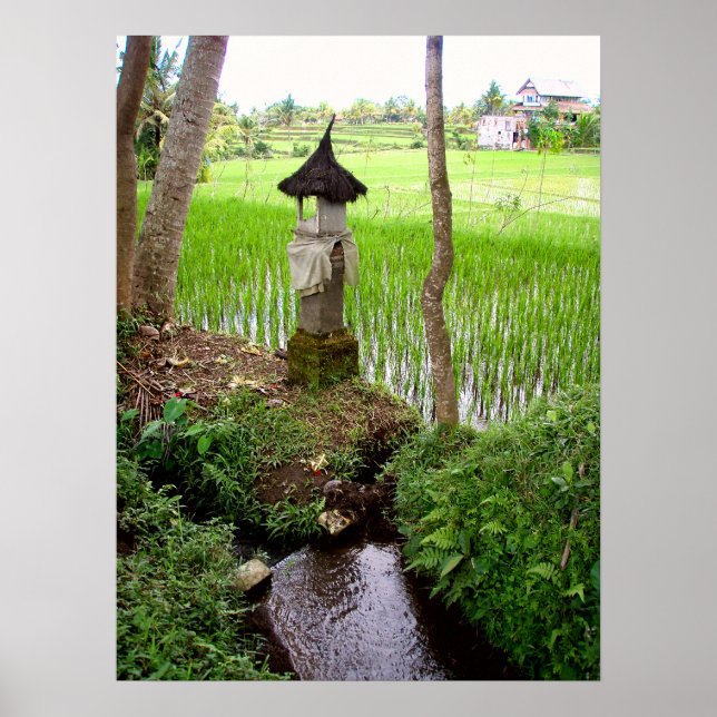 Poster plein (18" x 24") Rice field Temple Bali (Devant)