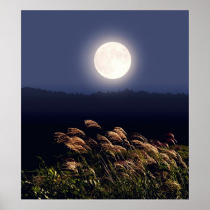 Poster Pleine lune
