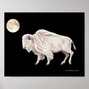Poster Pleine lune de vache à bison blanc