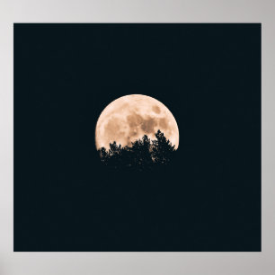 POSTER PLEINE LUNE DERRIÈRE UN ARBRE SILHOUETTES