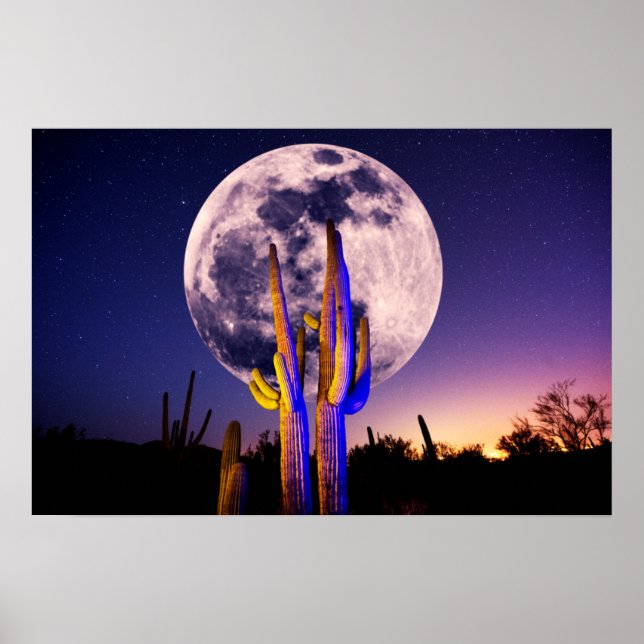 Poster Pleine lune sur Saguaro Cactus (Devant)