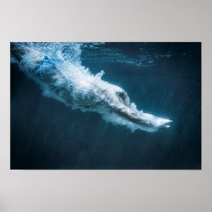 Poster plongeur