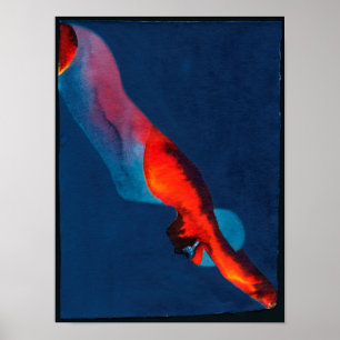 Poster Plongeur 2011