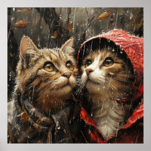 Poster pluie régulière sur les chats mignons