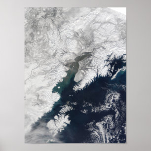 Poster Plume de cendre de redoute de bâti, Alaska