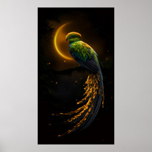 Poster Plume de la Lueur de la Nuit